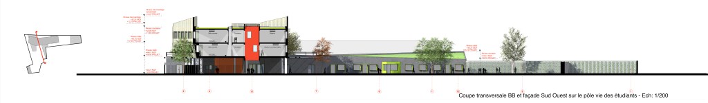 SDSO 18 COUPE TRANSVERSALE BB