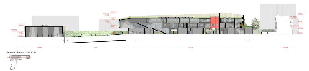 SDSO 21 coupe longitudinale
