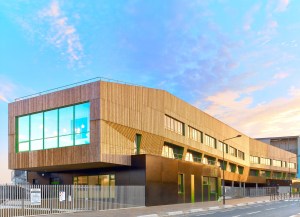 Platane - College Dora Maar (1)