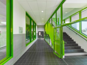 Platane - College Dora Maar (22)