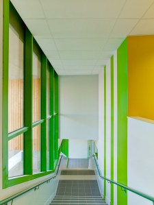 Platane - College Dora Maar (25)