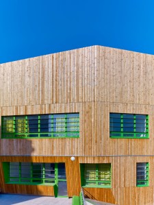 Platane - College Dora Maar (52)