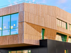 Platane - College Dora Maar (7)